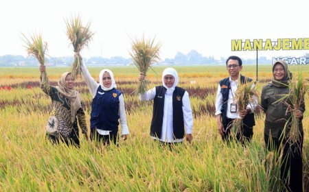 Gubernur Jatim Canangkan Desa Ngarjo Mojokerto sebagai Lokasi Manajemen Tanah Sehat