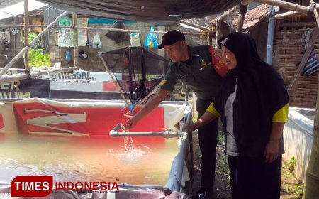 Babinsa 0814/15 Edukasi Masyarakat Jombang Budidaya Ikan Lele