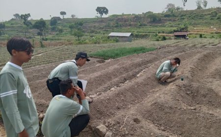 Maksimalkan Hasil Pertanian KSM Unisma Malang Cek Kadar Ph dan Kelembapan Tanah