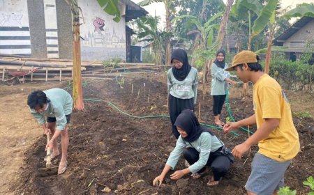 KSM-T Unisma Malang Aktifkan Lahan Toga Kembali Guna Dukung UMKM Dusun Gading