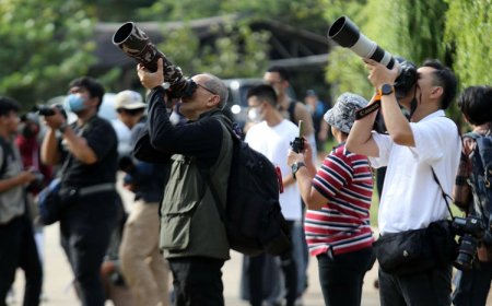 Rayakan Hari Cinta Puspa dan Satwa Nasional 2023, KEHATI-PFI Jakarta Gelar Lomba Foto dan Pameran Virtual