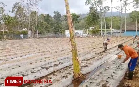 PP Nurud Dhalam Bondowoso Edukasi Santri Jadi Pengusaha melalui Pesantren Menanam