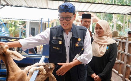 Diversifikasi Produk dan Olahan Kambing Jadi Bukti Keberhasilan P4S Lurisae Purworejo