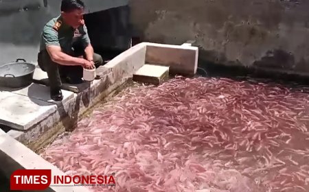 Kodim 0617 Majalengka Manfaatkan Embung untuk Budidaya Ikan