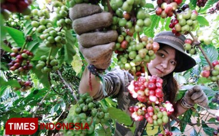 Ingat! PJ Bupati Siap Gaungkan Lagi Bondowoso Republik Kopi