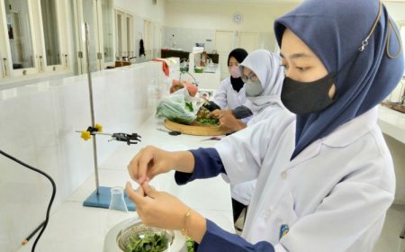 Mahasiswa PKM&#45;RE UNIPMA Ciptakan Health Lotion dari Ekstrak Daun Salam dan Bunga Telang