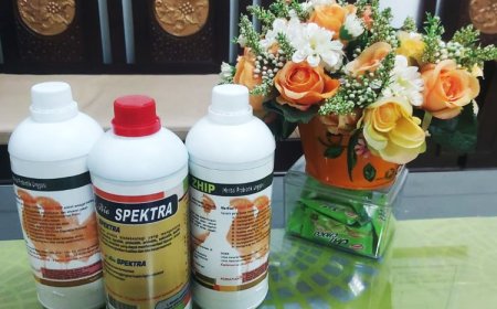 Produk Imun Probiotik Fakultas Peternakan Unisma Berhasil Sabet Dana Matching Fund