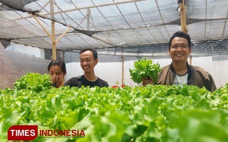 Menilik Ladang Cuan Petani Milenial di Kabupaten Banyuwangi
