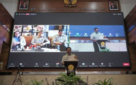 Belajar Budidaya Ayam Broiler, Peternak dan Penyuluh Negara Kepulauan Solomon Datangi Indonesia