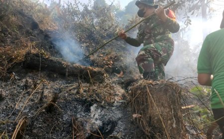 Gerak Cepat Babinsa Kalibaru Padamkan Kebakaran Lahan PTPN XII Kebun Jatirono