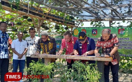 Empat Kabupaten se-Sumba Teken MoU Gerdal Hama Belalang Kembara di Sumba Timur