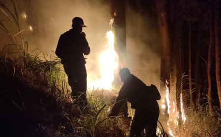 Polres Malang Bareng Satgas Karhutla Padamkan Kebakaran Hutan di Jabung