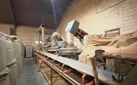 Manfaatkan Biomassa, PLN EPI Gandeng Perusahaan Malang dan Korea Wujudkan Nol Emisi