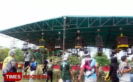 Dispopar Bontang: Lomba Burung Berkicau Jadi Magnet Kunjungan Wisata