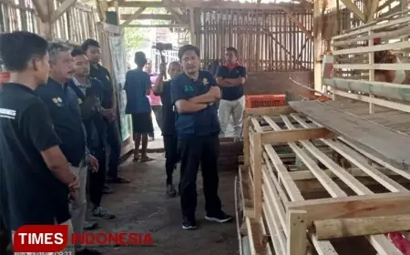 Pertama di Dunia, Milenial Malang Kelola Peternakan Ayam Kampung Berbasis Teknologi Digital