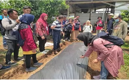Kolaborasi UPT Kementan dan P4S JIFSI Cetak Petani Andal