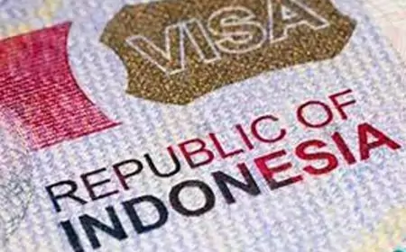 Visa Diaspora Beri Kemudahan dan Kenyamanan untuk Diaspora Indonesia
