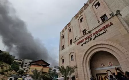 RS Indonesia Diserang, MUI: Israel Sudah Buta Tuli dan Tak Berakal