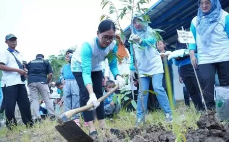 Memasuki Musim Hujan, Pemkab Pacitan Dorong Warga Menanam Pohon