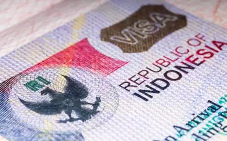 Pemerintah Cabut Calling Visa untuk Kamerun, Dorong Kerja Sama Ekonomi dan Evaluasi Terus Dilakukan