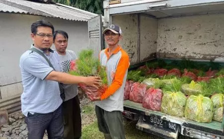 Greenfield Berikan Bantuan Bibit Pinus untuk Masyarakat Lereng Gunung Kawi