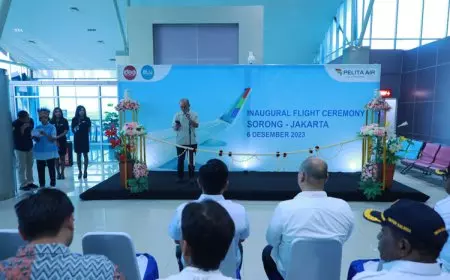 Melebarkan Sayap ke Indonesia Timur, Pelita Air buka Rute Penerbangan Non-Stop Jakarta-Sorong
