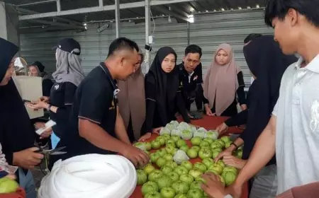 Tak Hanya Kuasai Teknologi, Petani Milenial Perlu Bekal Kelola Pemasaran