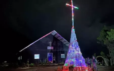 Simbol Kebersamaan, Satgas Yonif 433 JS Membuat Pohon Natal Raksasa di Papua