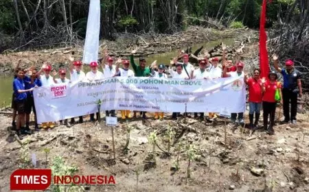 Mowilex Menerima Sertifikasi CarbonNeutral Kelima Kalinya