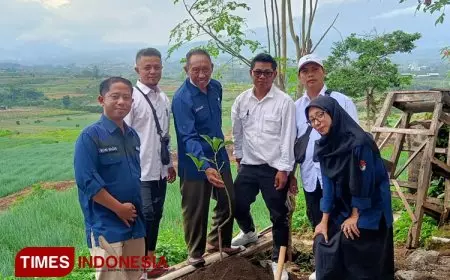 Tanam Bibit Pohon Setara Kertas Logistik Pemilu 2024