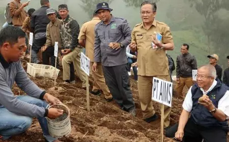 Langkah Awal Menuju Pertanian Modern, Petani Muda Tanam Perdana Kentang di Kabupaten Malang