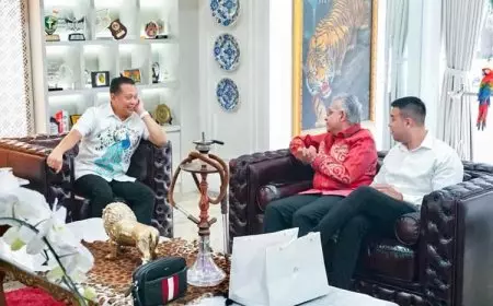 Ed Sheeran dan Tom Jones Konser di Jakarta, Bukti Indonesia Rumah Nyaman bagi Musisi Internasional