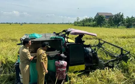 Panen Raya Ribuan Hektare, Pj Bupati Kudus: Kuatkan Ketahanan Pangan Nasional