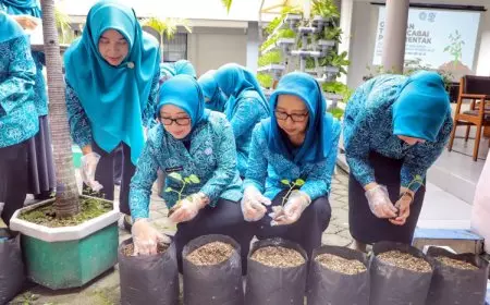 Berikan Banyak Manfaat, Pj Ketua TP PKK Isye Ajak Kader PKK Tanam Cabai di Pekarangan Rumah