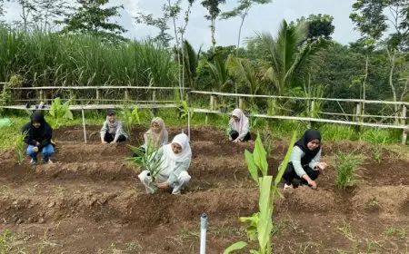 Mahasiswa KSM-T Unisma Malang di Desa Jabung Mengadakan Pemberdayaan Masyarakat Melalui P2L