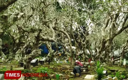 Tradisi Nyekar dan Meroketnya Harga Mawar di Kota Batu