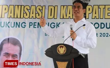 Maksimalkan Penyerapan, Mentan Tutup Keran Impor Jagung