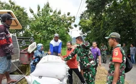 Dandim Ponorogo Blusukan ke Sawah, Pastikan Harga Gabah Tak Merugikan Petani