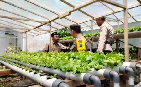 Dari Pekarangan Menuju Ketahanan Pangan Bersama Polsek Kalipuro Polresta Banyuwangi