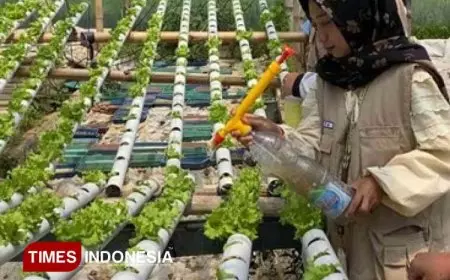 Mahasiswa Unisma Malang Peduli Petani: Berinovasi dengan Pestisida Nabati dan Herbisida Alami