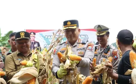 Asta Cita Bergema, Kapolresta Banyuwangi Ikut Panen Raya Jagung
