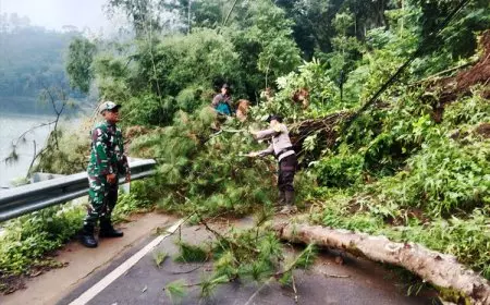 Sinergi TNI-Polri dan Warga Bersihkan Longsor di Jalan Wisata Telaga Ngebel Ponorogo