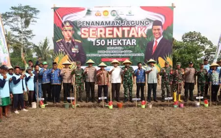 Wujudkan Ketahanan Pangan, Lahan Seluas 150 Ha di Desa Rembun Dampit Ditanami Jagung