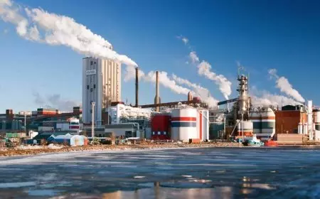 Peluang Investasi Proyek untuk Sektor Industri di Indonesia