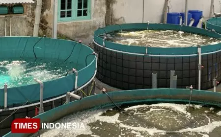 Hadapi Musim Kemarau, Disperikan Banyuwangi Bagikan Tips Bagi Pembudidaya Ikan