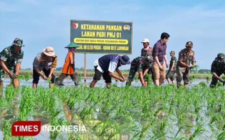 Bersama Petani, Dandim Lamongan Tanam Harapan Lewat Padi PMJ 01
