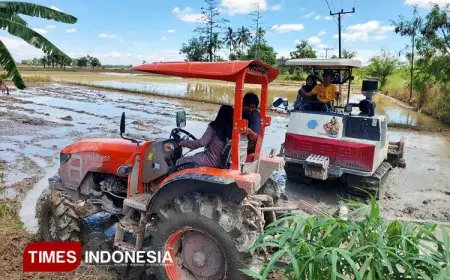 Tingkatkan Profesionalisme Petani, Pelatihan Brigade Pangan Digelar di Lempuing Jaya Sumsel