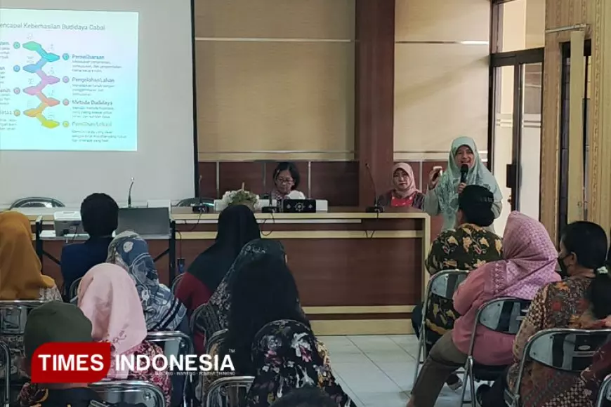Dorong Swasembada Cabai dari Rumah Tangga, Polbangtan Malang Latih Kelompok Tani