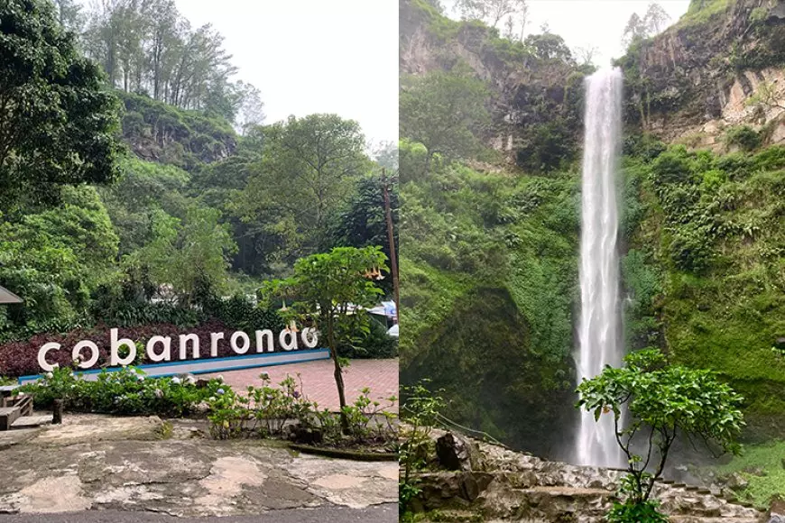 Coban Rondo: Keindahan Alam dan Kisah Legenda di Pelukan Hutan Pinus Malang