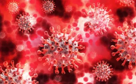 Jembrana Waspada COVID 19 Meski Belum Ada Kasus, Fasilitas Kesehatan Siap Antisipasi